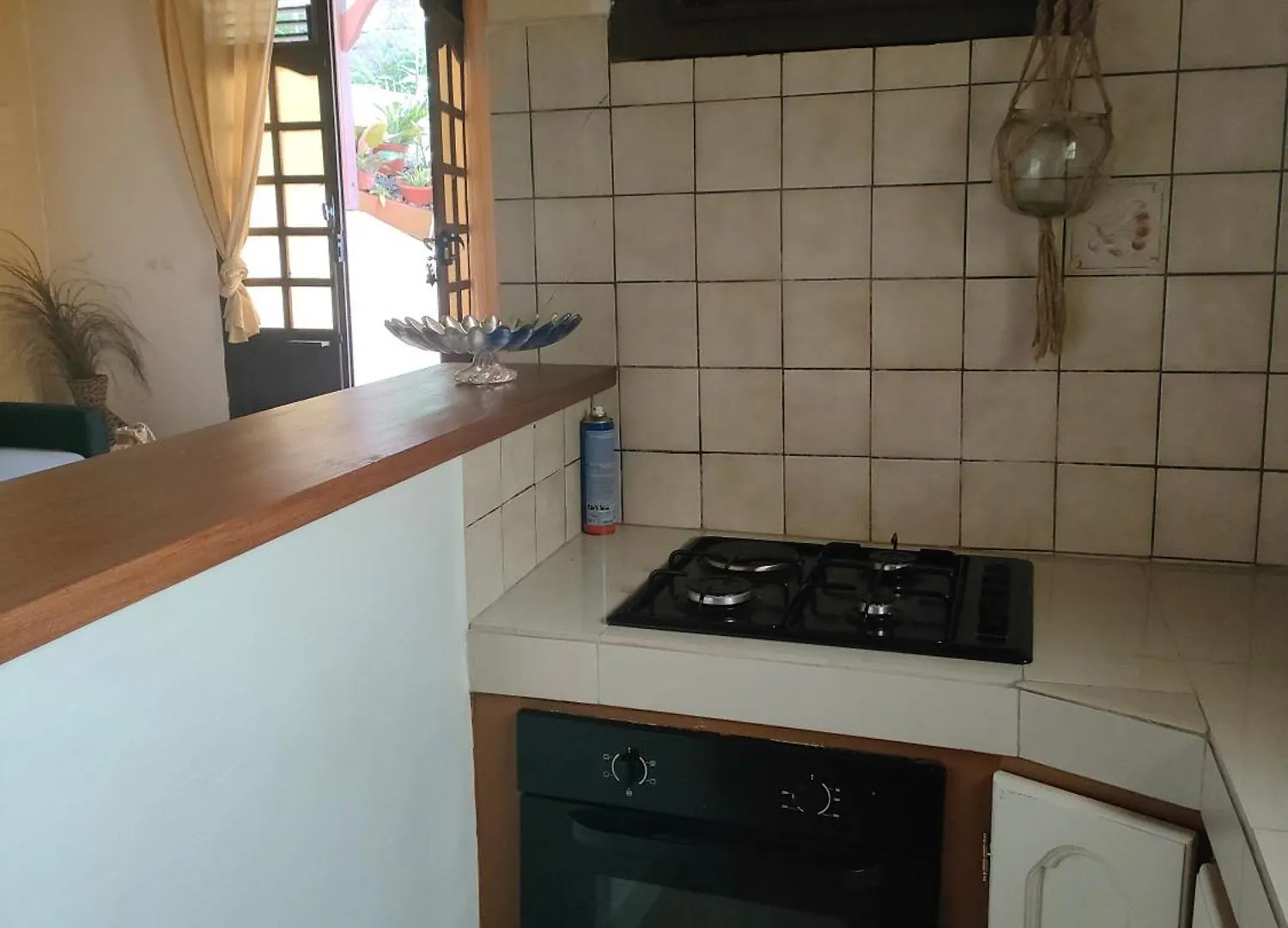Appartement Bromelias à Le Robert
